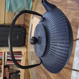 Cast Iron single serve tea pot